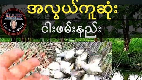 ငါးဖမ်းနည်း .